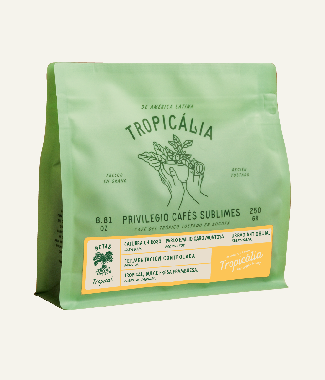 PABLO EMILIO MONTOYA, CATURRA CHIROSO -  URRAO ANTIOQUIA 250g