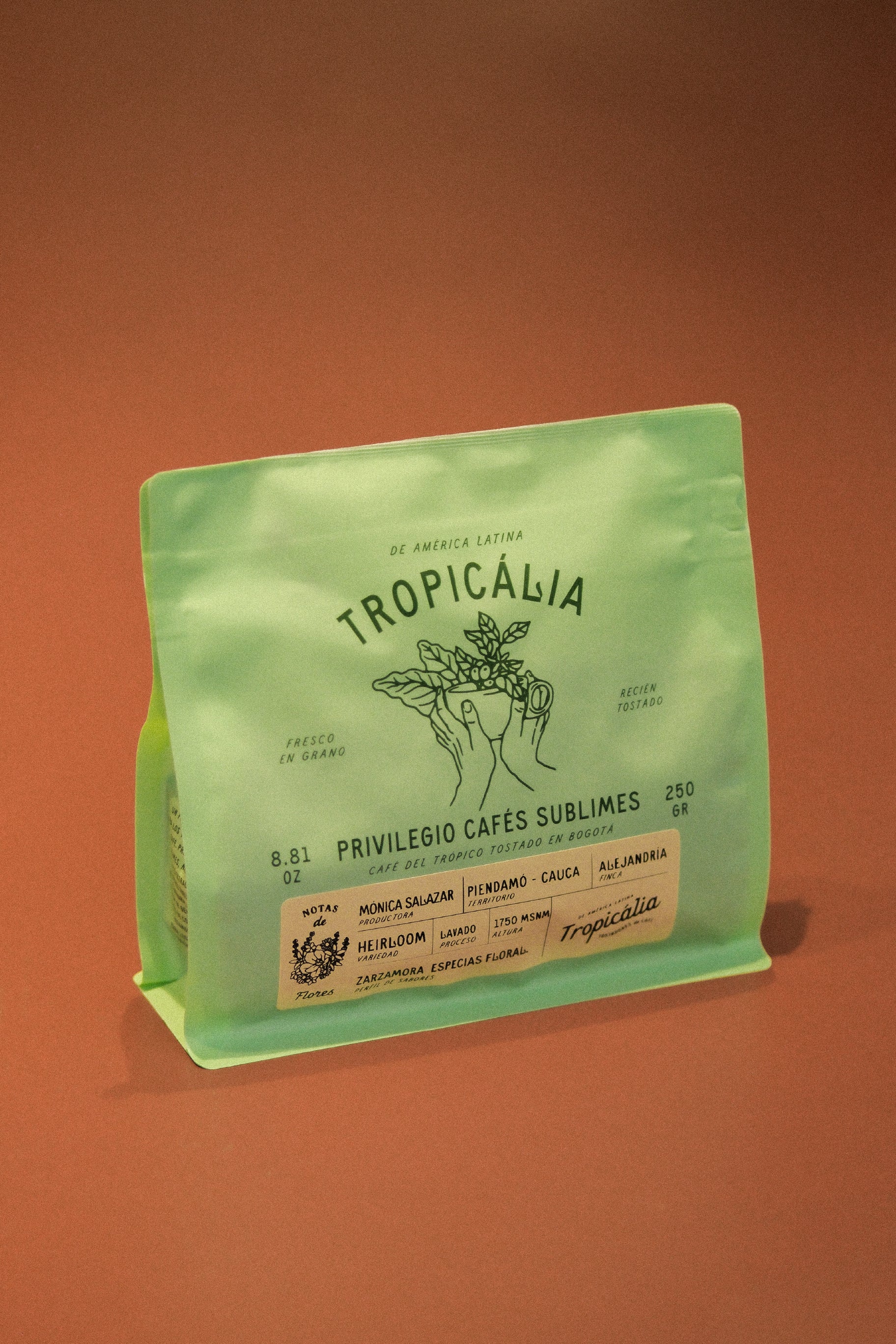 HEIRLOOM   MONICA SALAZAR 250g