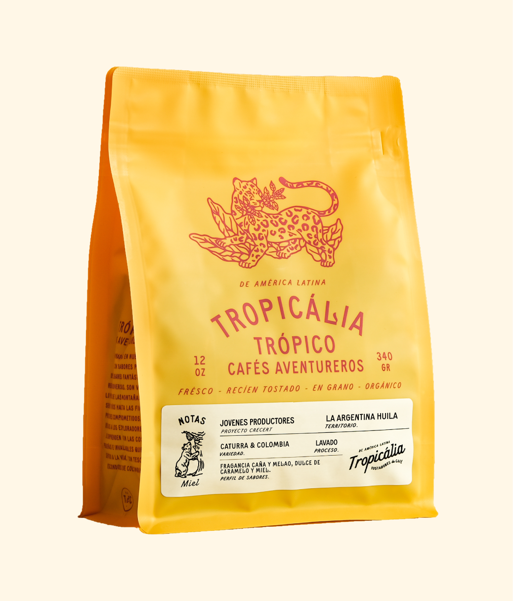 Young producers  -  Cauca Colombia 340g